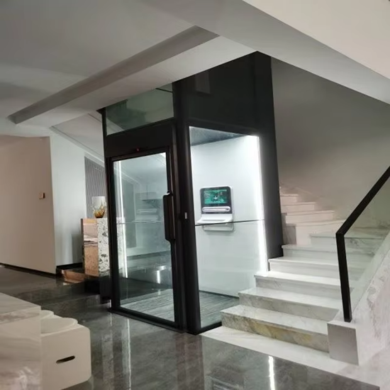 VTEV109 Ascensores Elevadores tyylikäs lasihuvilahissi yksityiseen paritaloon