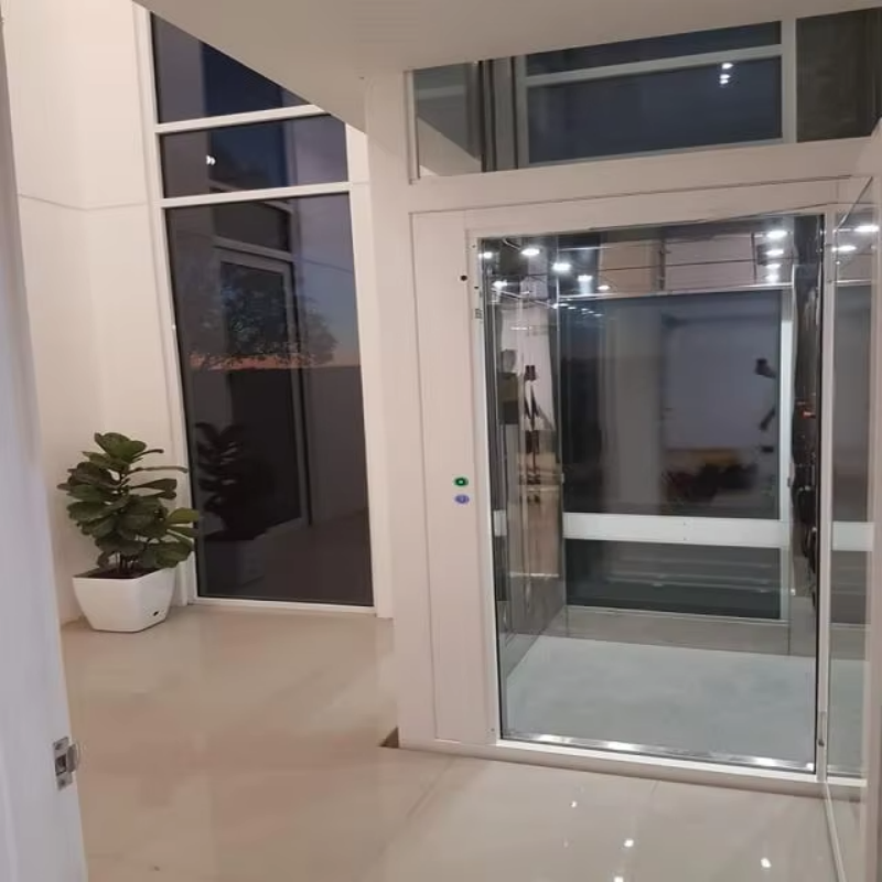VTEV109 Ascensores Elevadores tyylikäs lasihuvilahissi yksityiseen paritaloon
