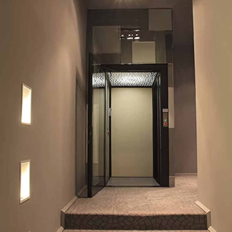 VTEV104 Ascensores Elevadores Luxury ruostumattomasta teräksestä valmistettu villahissi perhekäyttöön