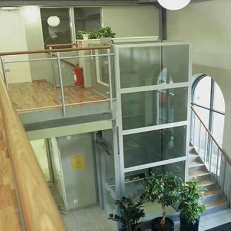 VTEV105 Ascensores Elevadores Räätälöity mökkihuvilahissi sisustukseen